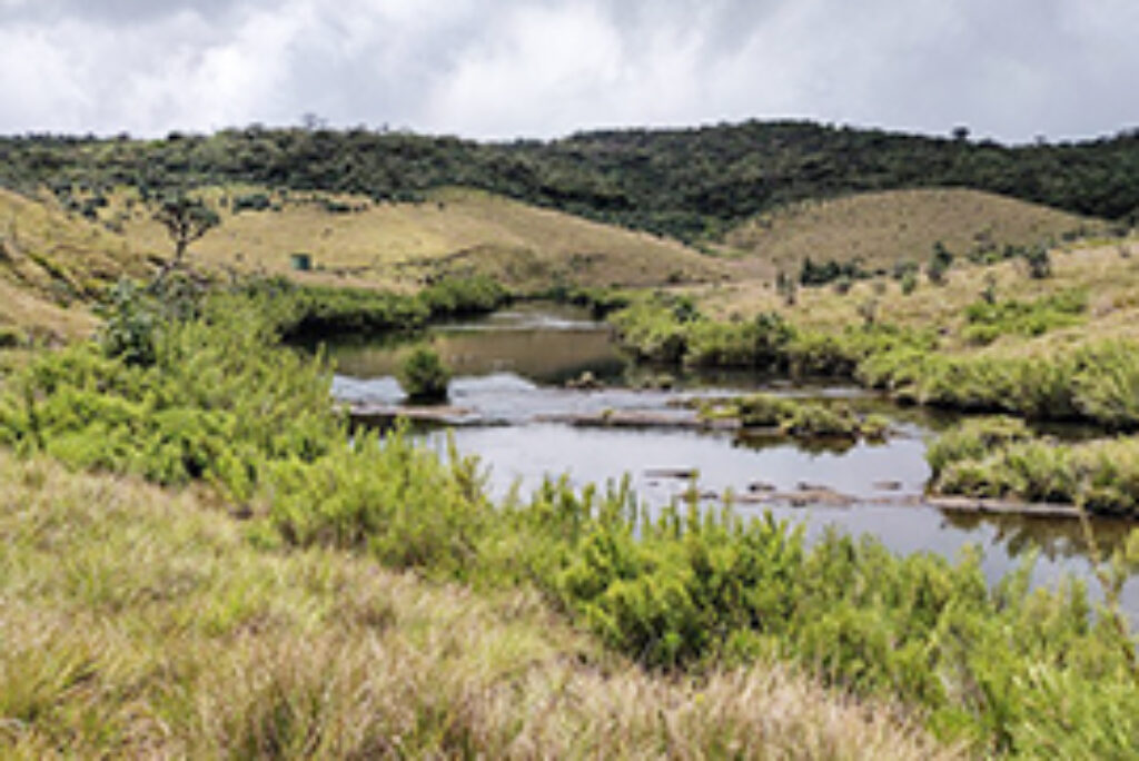 Horton Plains National Park