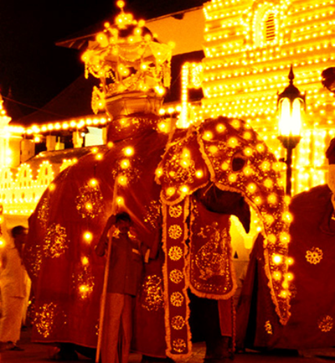 Shopping and Souvenirs