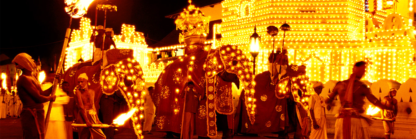 Local Events and Activities