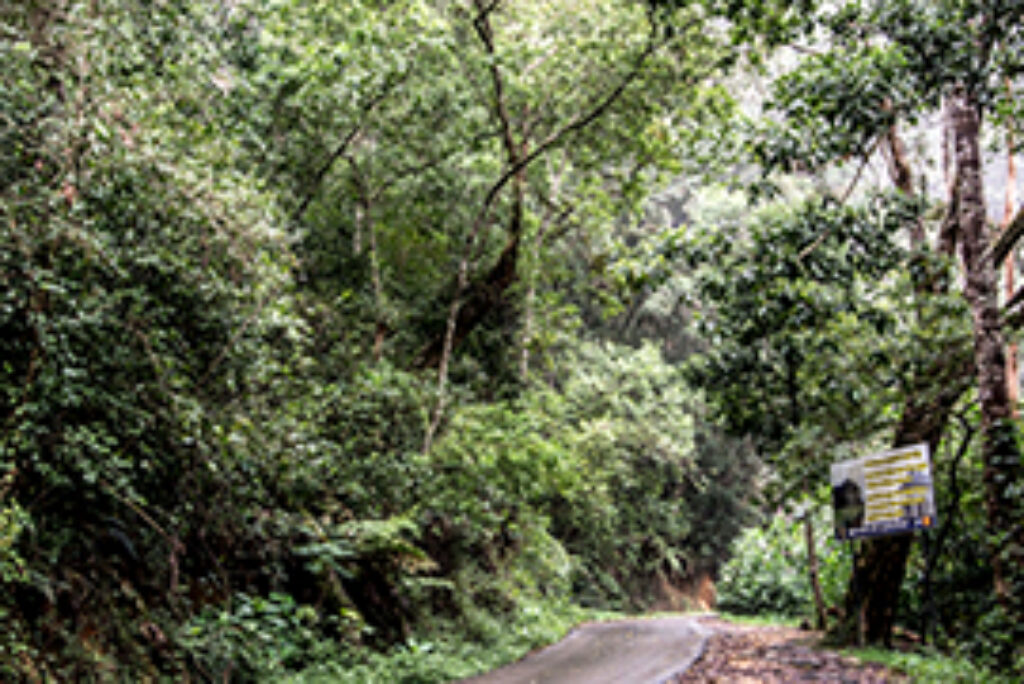 Thangamale Sanctuary