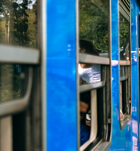 Shopping and Souvenirs